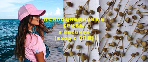 прущая мука Кулебаки