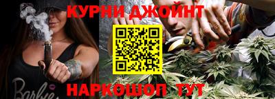 Альфа ПВП Новодвинск