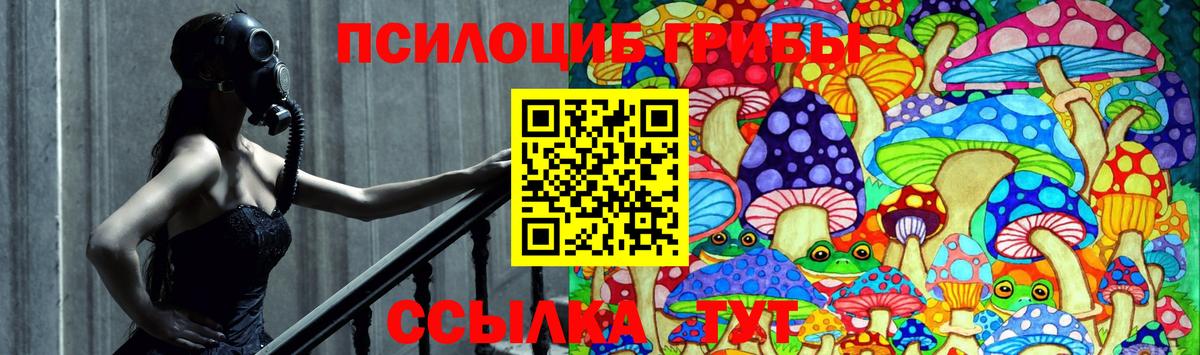 Тутаев  Галлюциногенные грибы GOLDEN TEACHER  Вход с VPN 