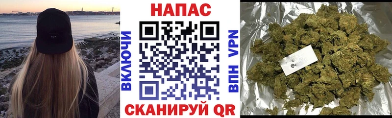 Бошки Шишки семена  Тутаев 